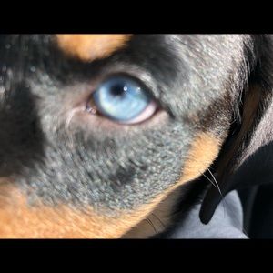 Meet your Posher, Margret